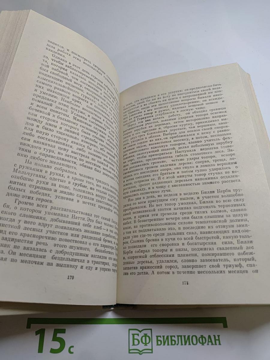 Пионеры, или У истоков Саскуиханны. Роман