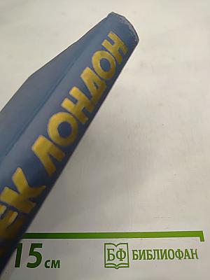 Собрание сочинений в тринадцати томах. Том 6