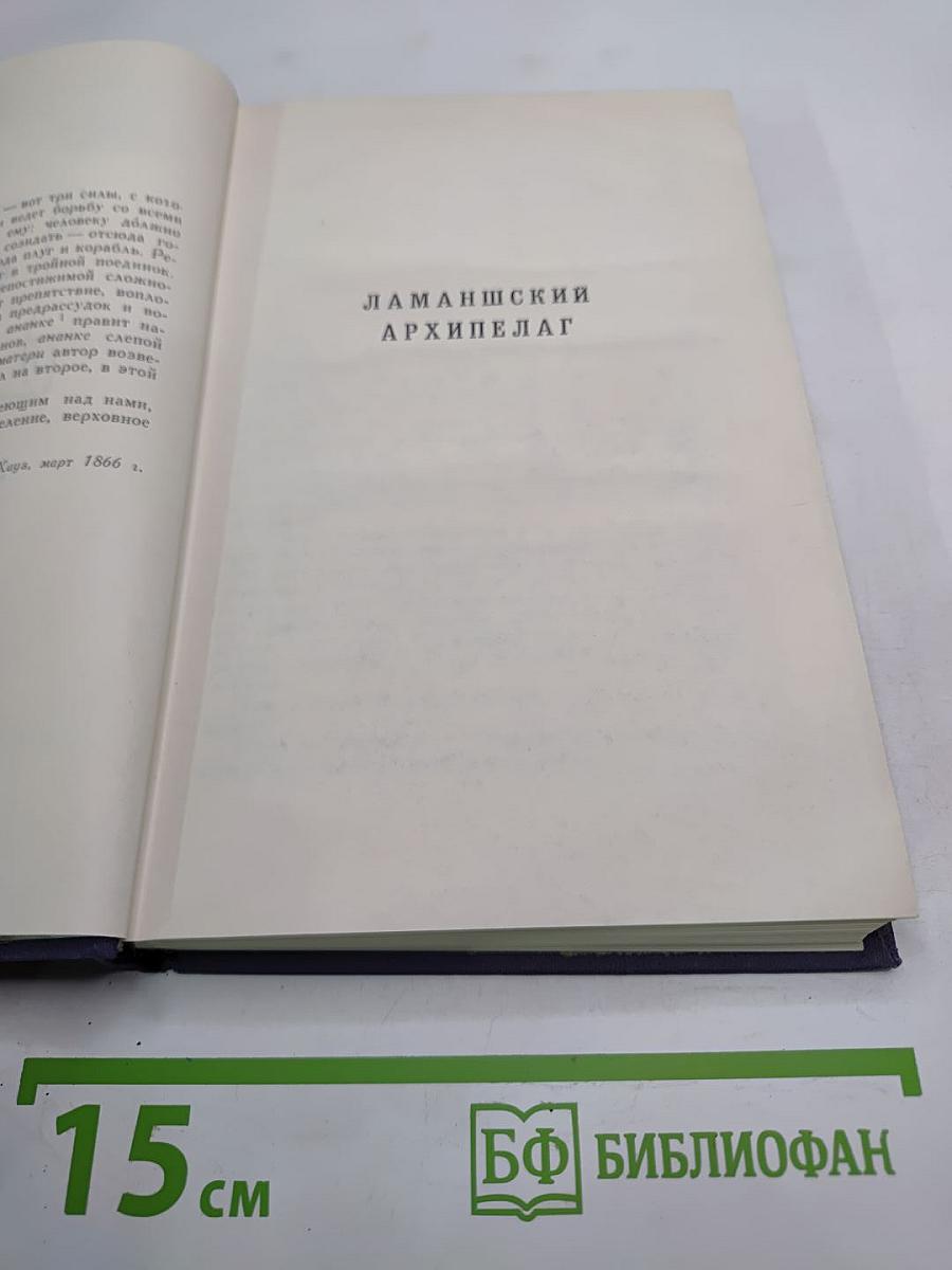 Собрание сочинений в десяти томах. Том VIII. Труженики моря