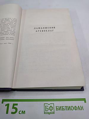 Собрание сочинений в десяти томах. Том VIII. Труженики моря