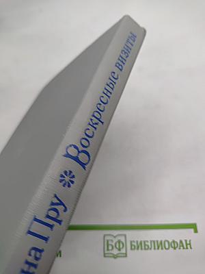 Воскресные визиты