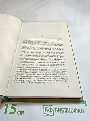 Первые радости