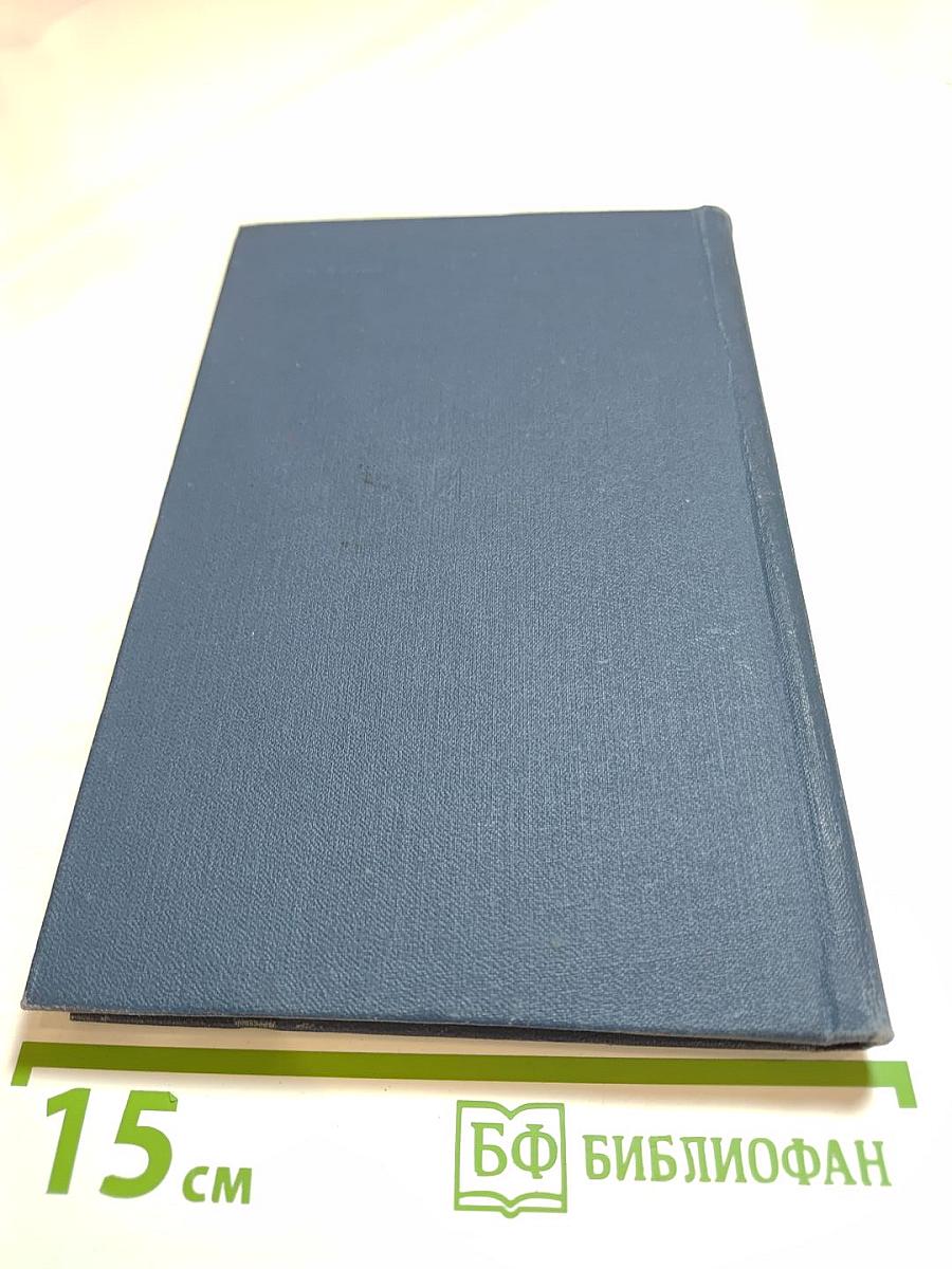 Крылья над морем