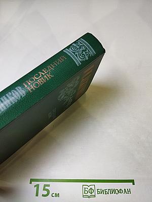 Последний Новик