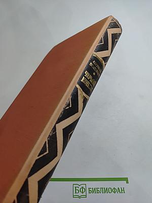 Чёрный консул