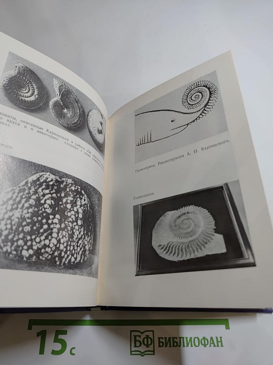 КАРПИНСКИЙ в Петербурге – Петрограде – Ленинграде