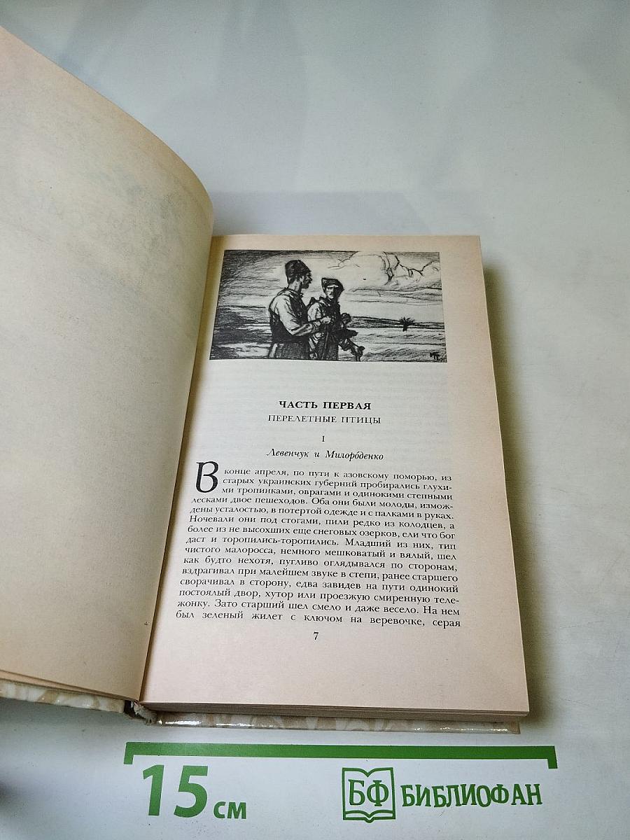 Беглые в Новороссии. Воля. Княжна Тараканова