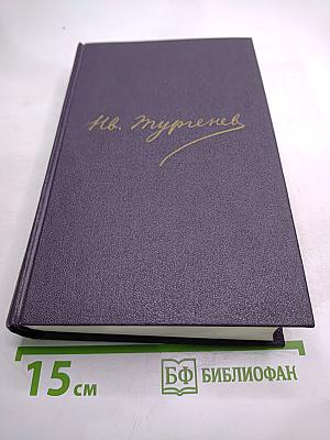 Полное собрание сочинений и писем. Письма. Том четырнадцатый. 1859-1861