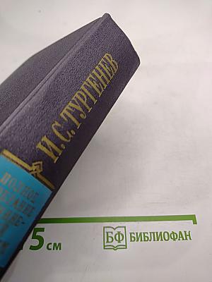 Полное собрание сочинений и писем. Письма. Том четырнадцатый. 1859-1861