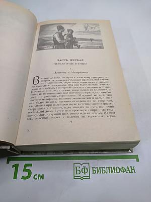 Беглые в Новороссии. Воля. Княжна Тараканова