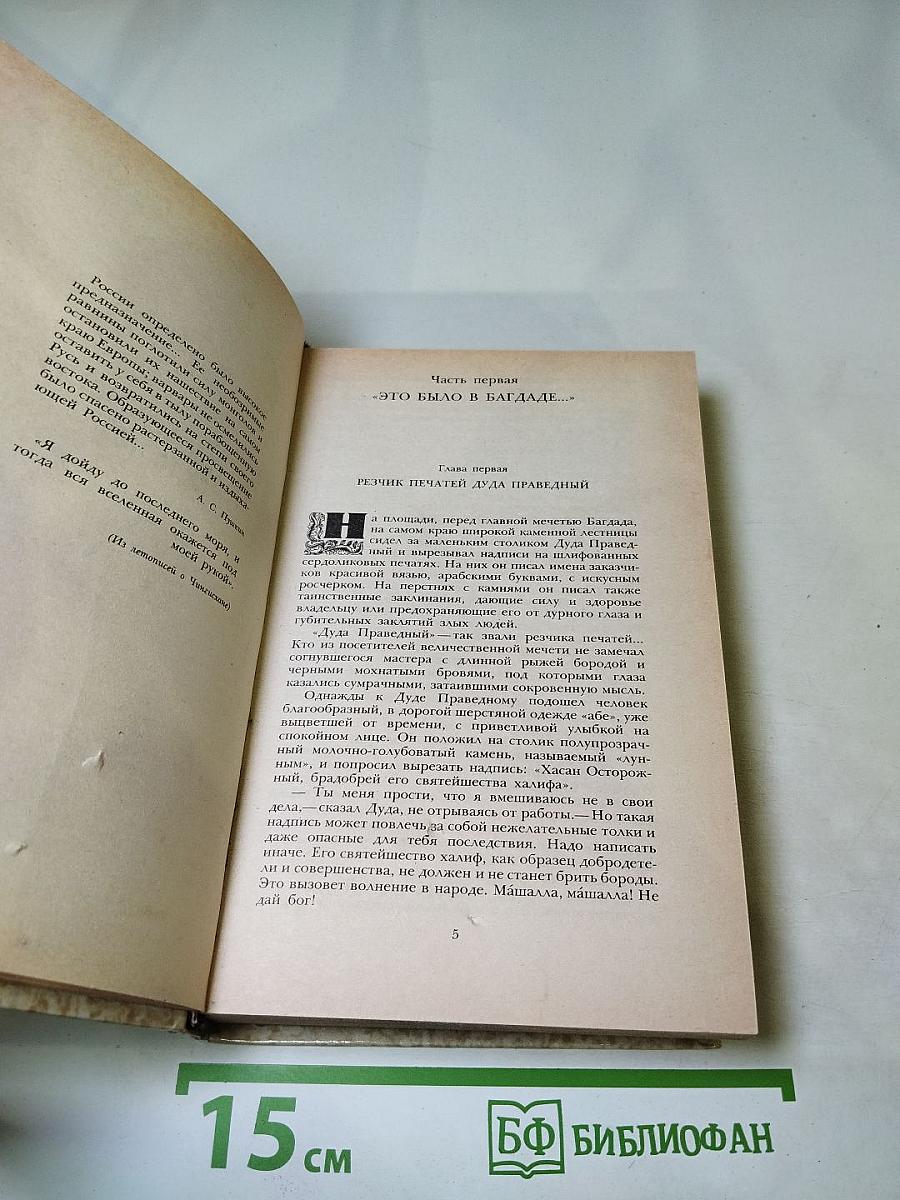 К последнему морю. Юность полководца