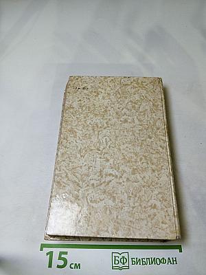 К последнему морю. Юность полководца