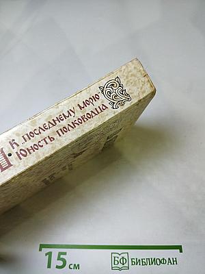 К последнему морю. Юность полководца