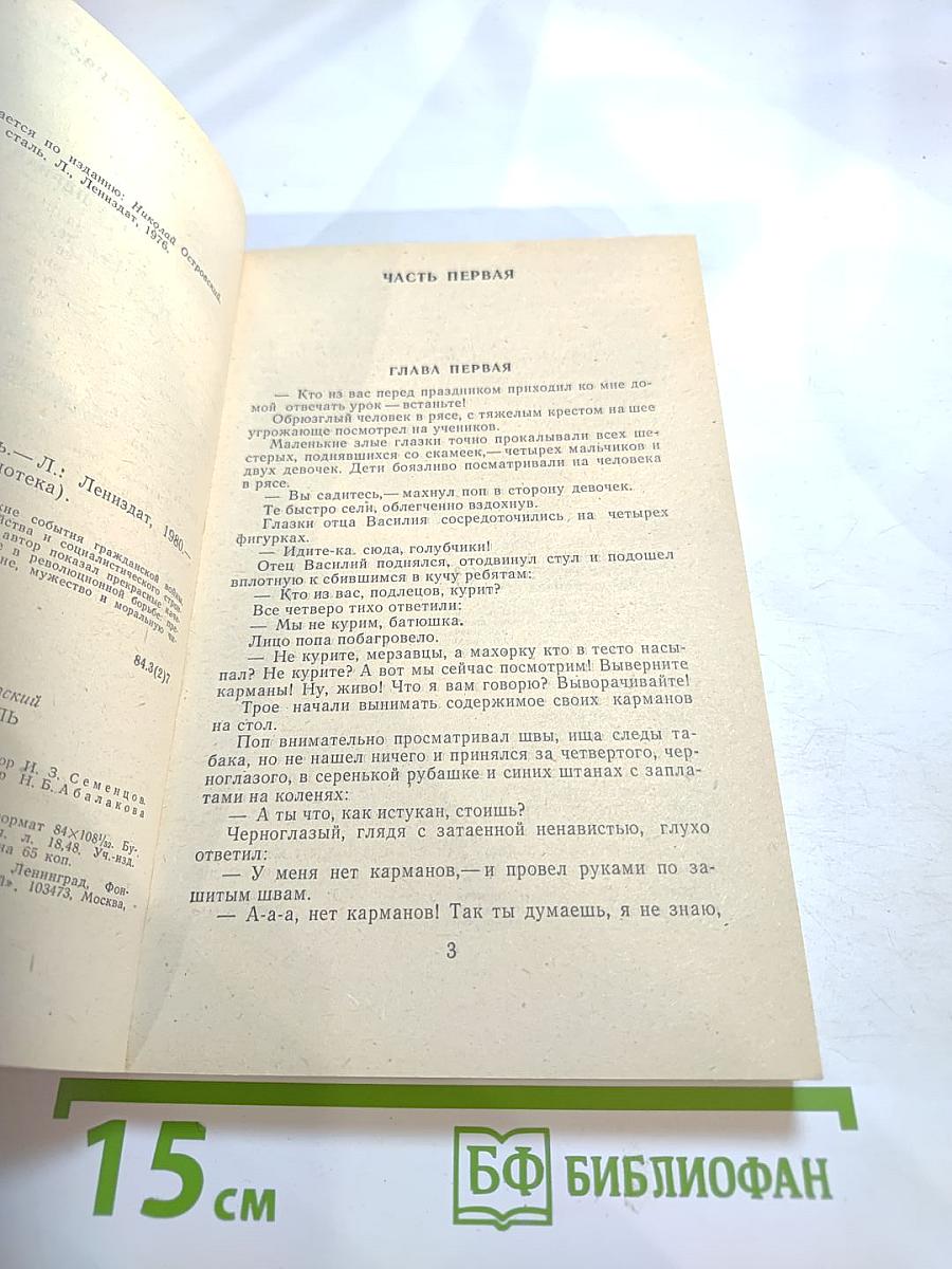 Как закалялась сталь