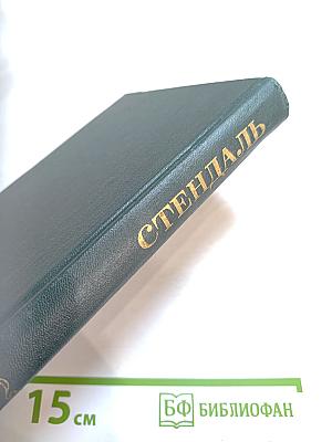 Собрание сочинений в пятнадцати томах. Том VIII. История живописи в Италии