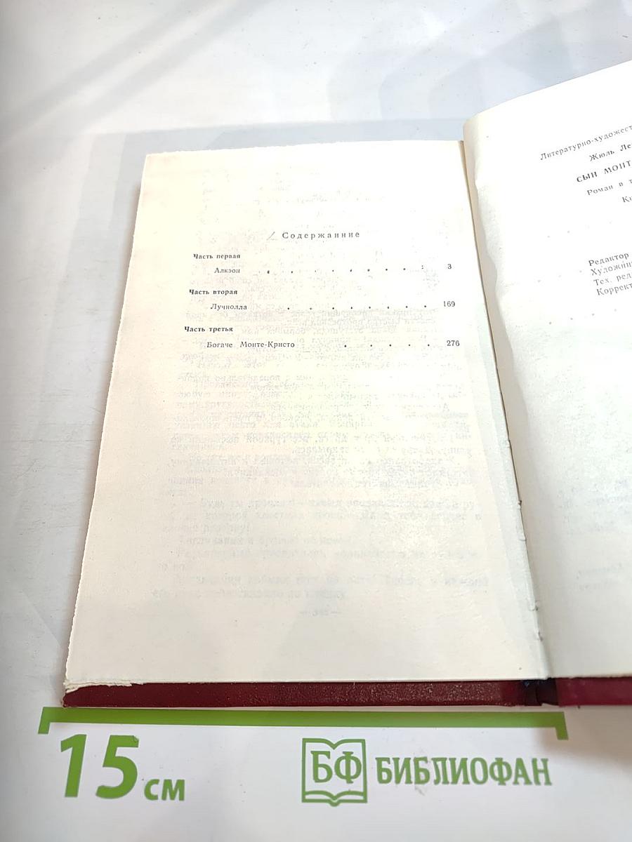 Сын Монте-Кристо. Книга первая