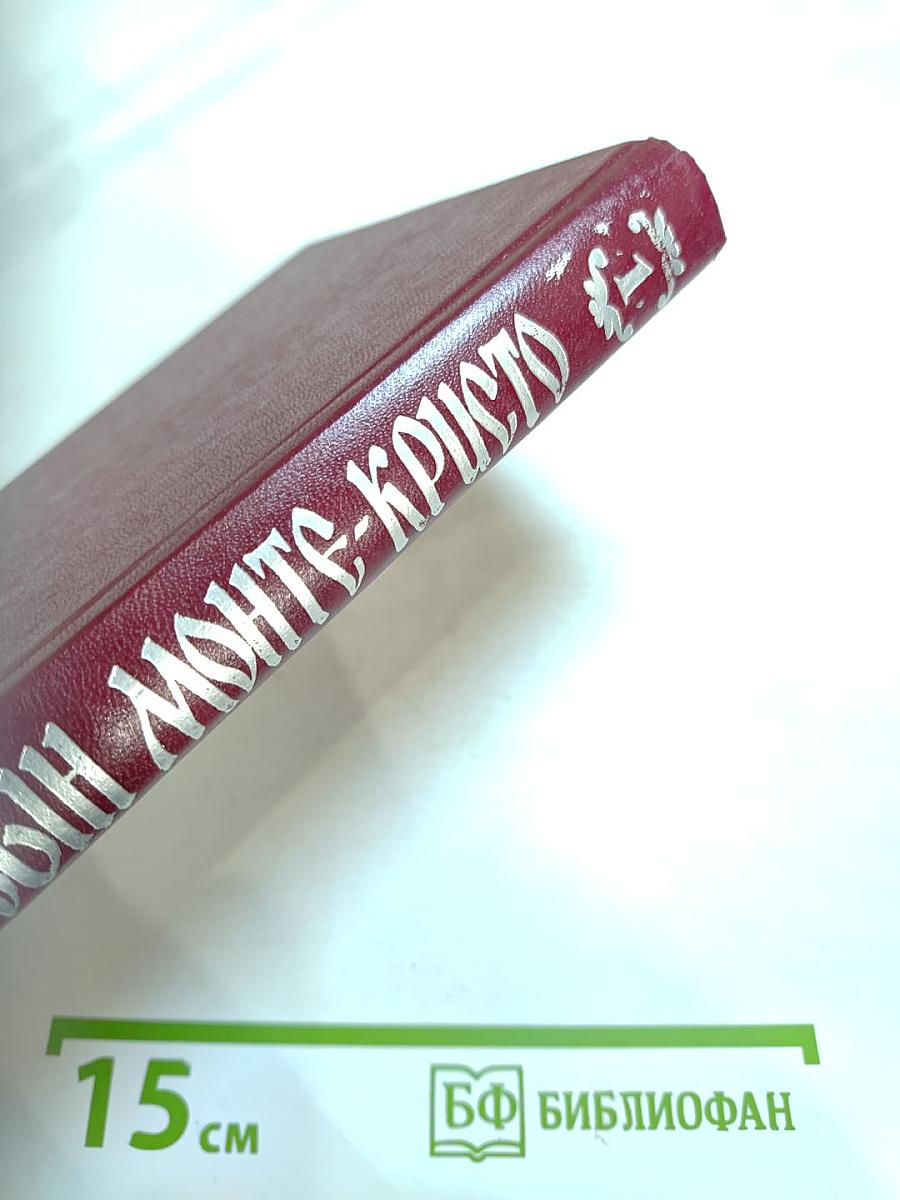 Сын Монте-Кристо. Книга первая