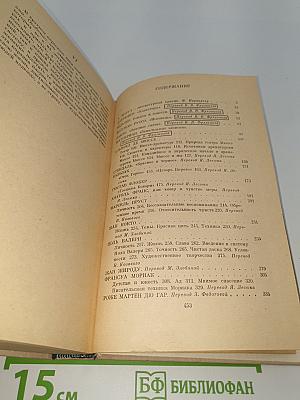 Литературные портреты