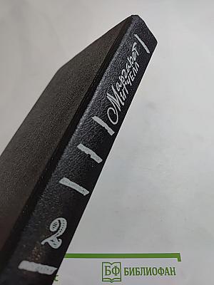 Унесенные ветром. Том 2