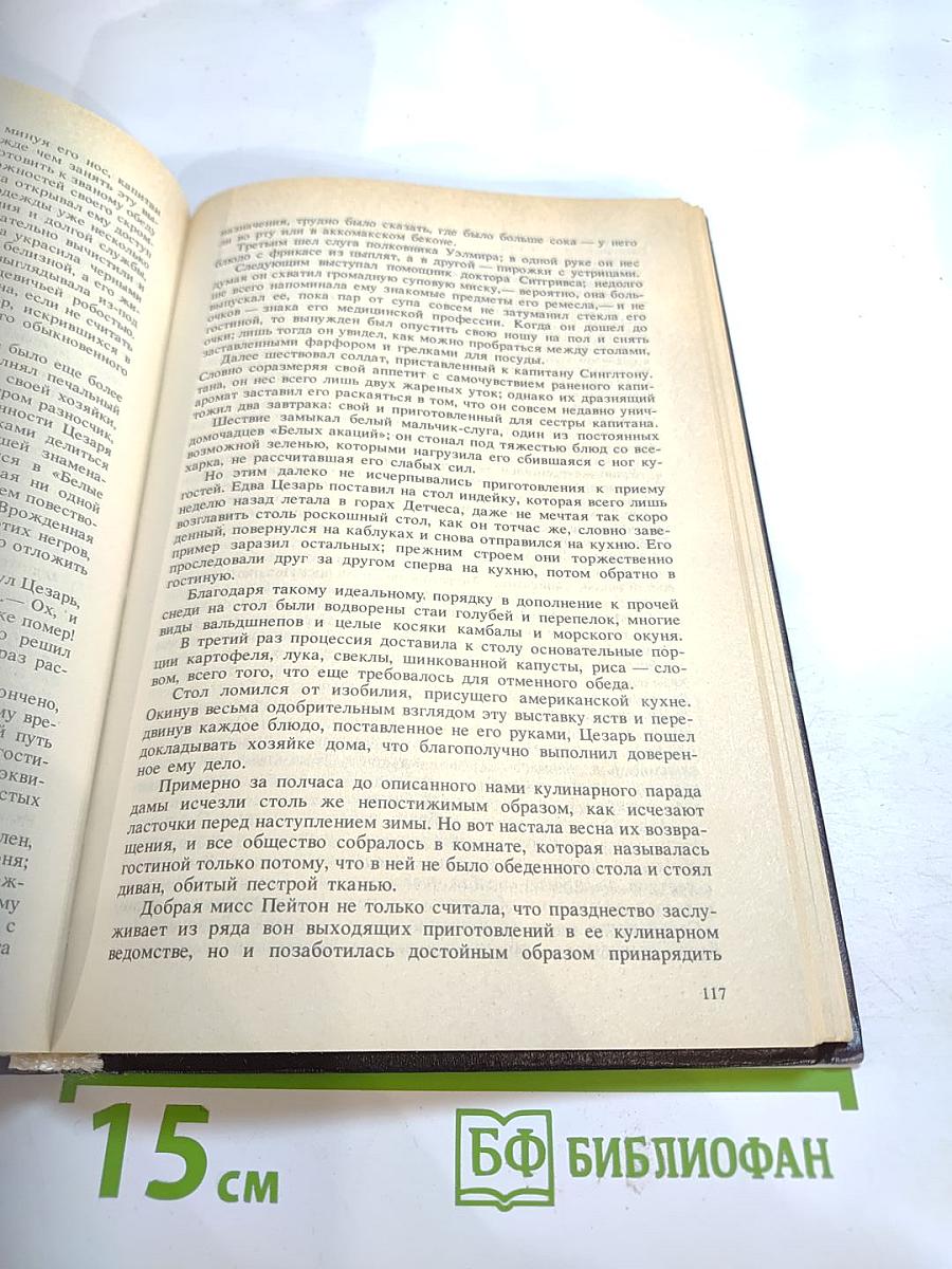 Шпион, или Повесть о нейтральной территории