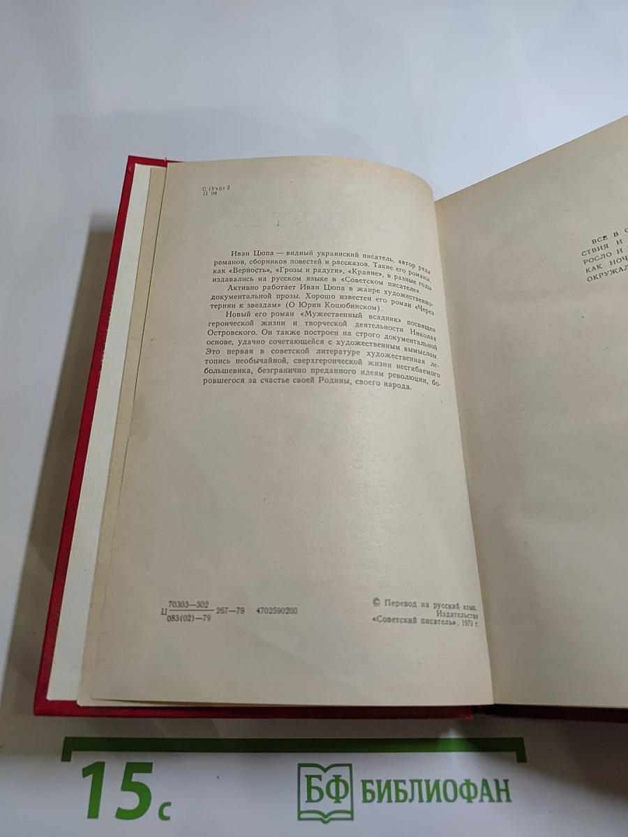 Мужественный всадник