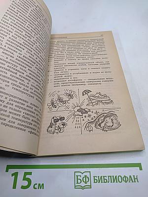Экология для любознательных, или О чем не узнаешь на уроке