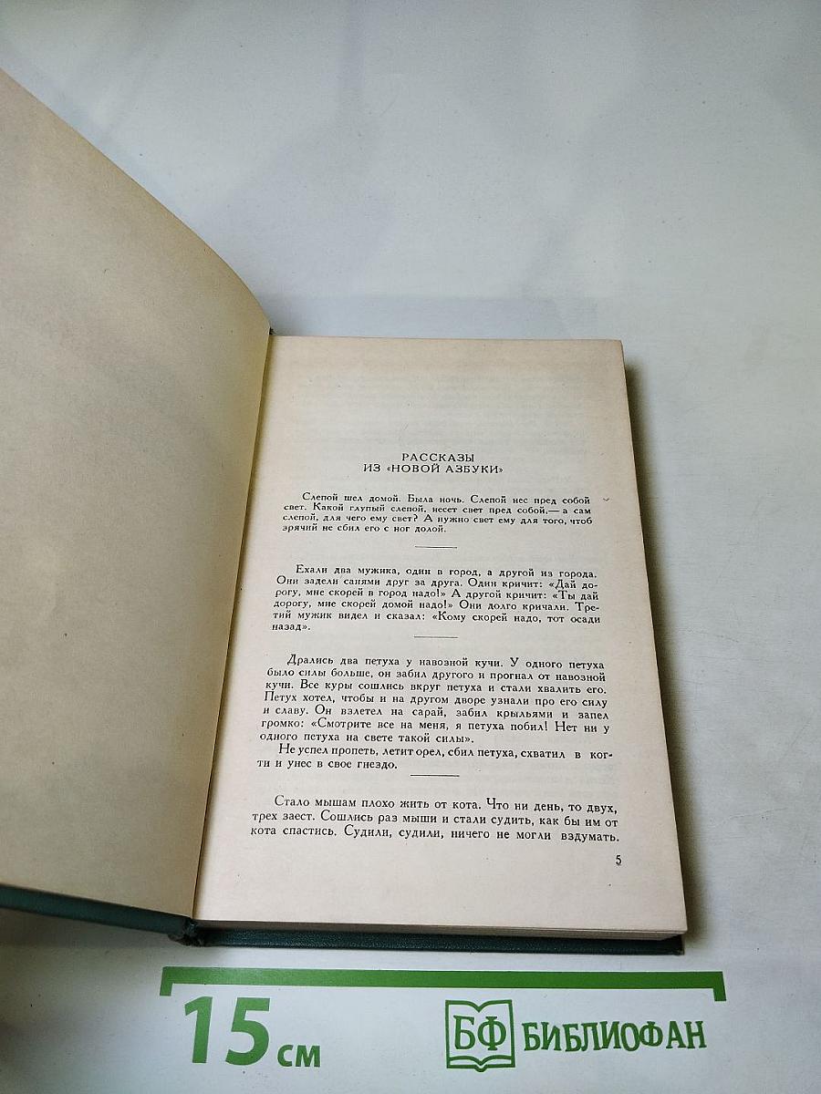 Повести и рассказы (1872-1886). Том десятый