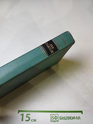 Повести и рассказы (1872-1886). Том десятый