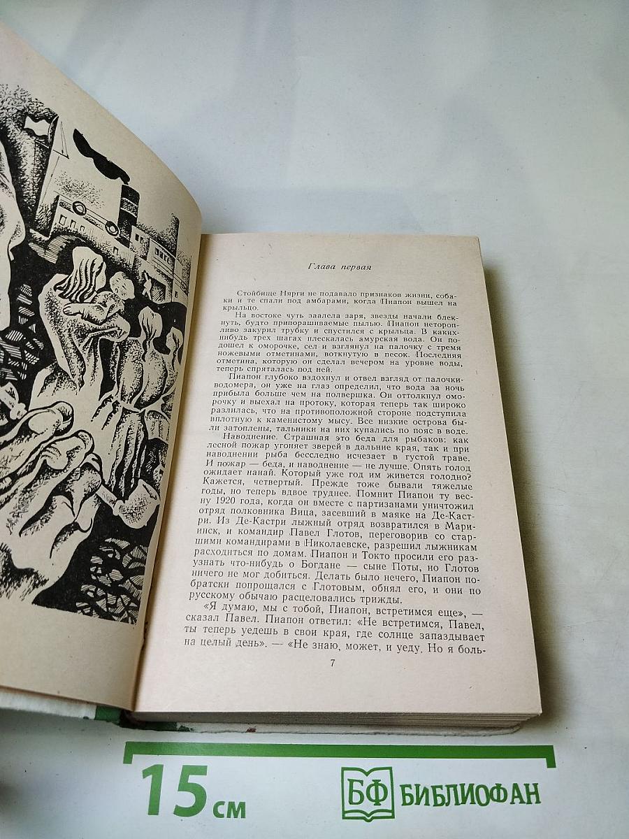 Амур широкий