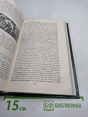 Жан-Кристоф. Том IV