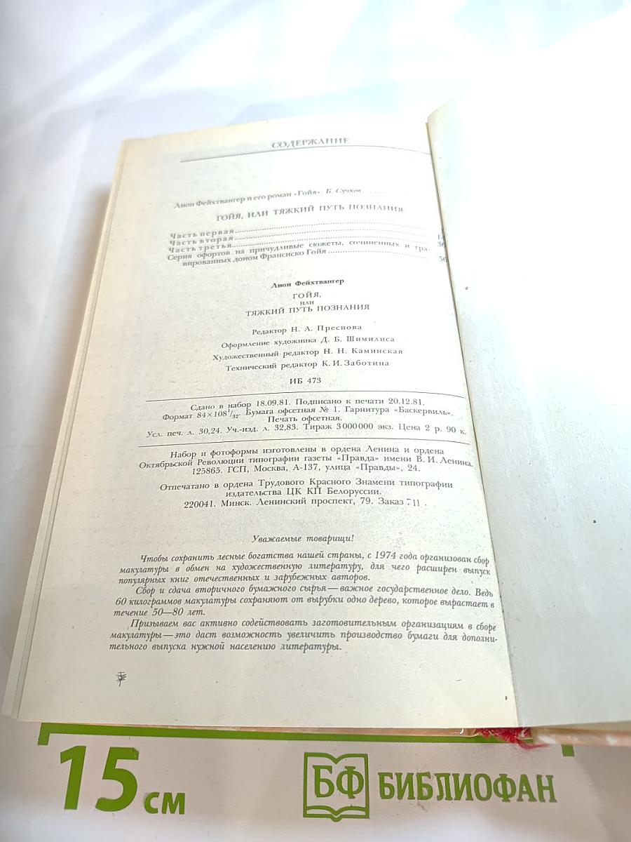 Гойя, или Тяжкий путь познания