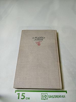 Путь, открытый взорам