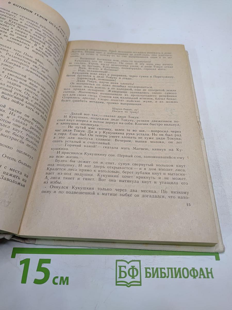 Где наша не пропадала