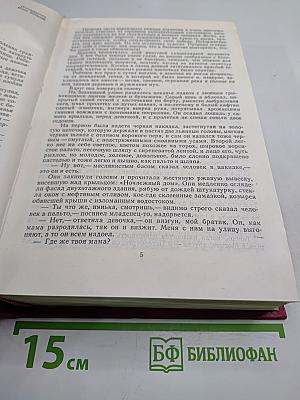 Первые радости. Необыкновенное лето
