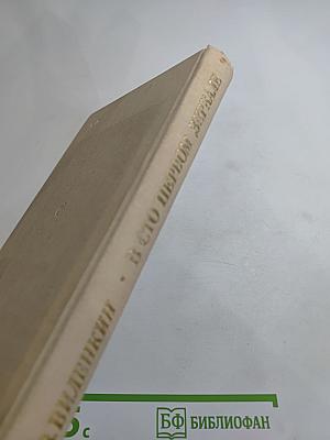 В сто первом зеркале (Анна Ахматова)