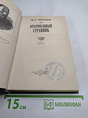 Очарованный странник: Повести, рассказы