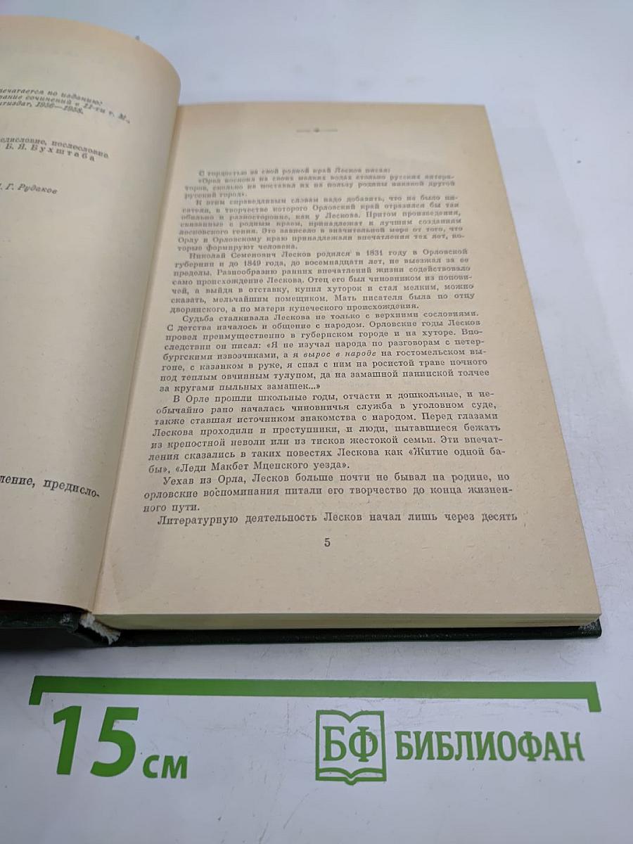Очарованный странник: Повести, рассказы