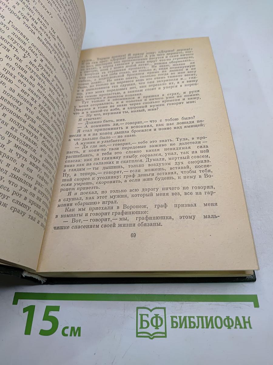 Очарованный странник: Повести, рассказы