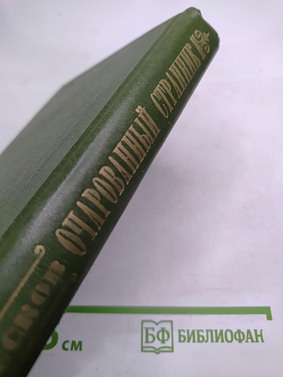 Очарованный странник: Повести, рассказы