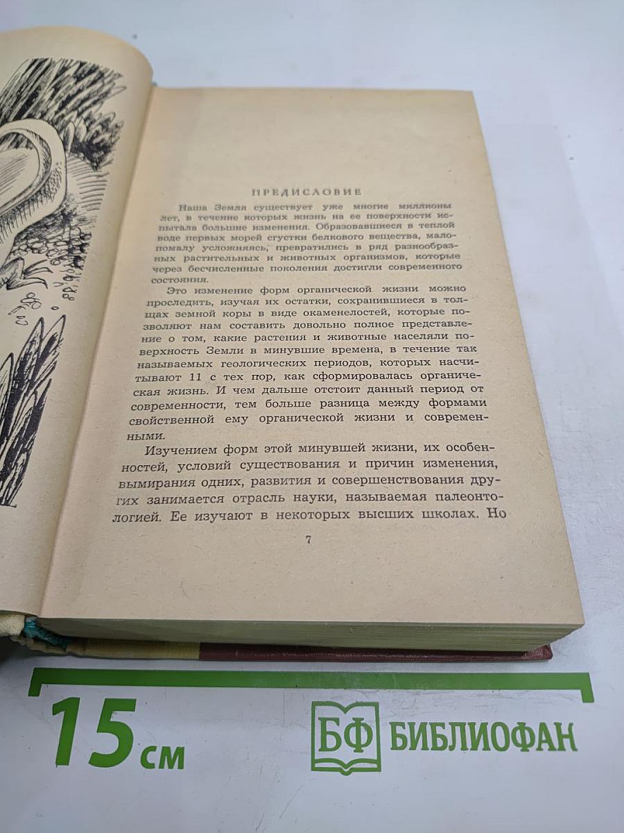 Плутония. Земля Санникова