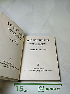 Евгений Онегин. Том пятый