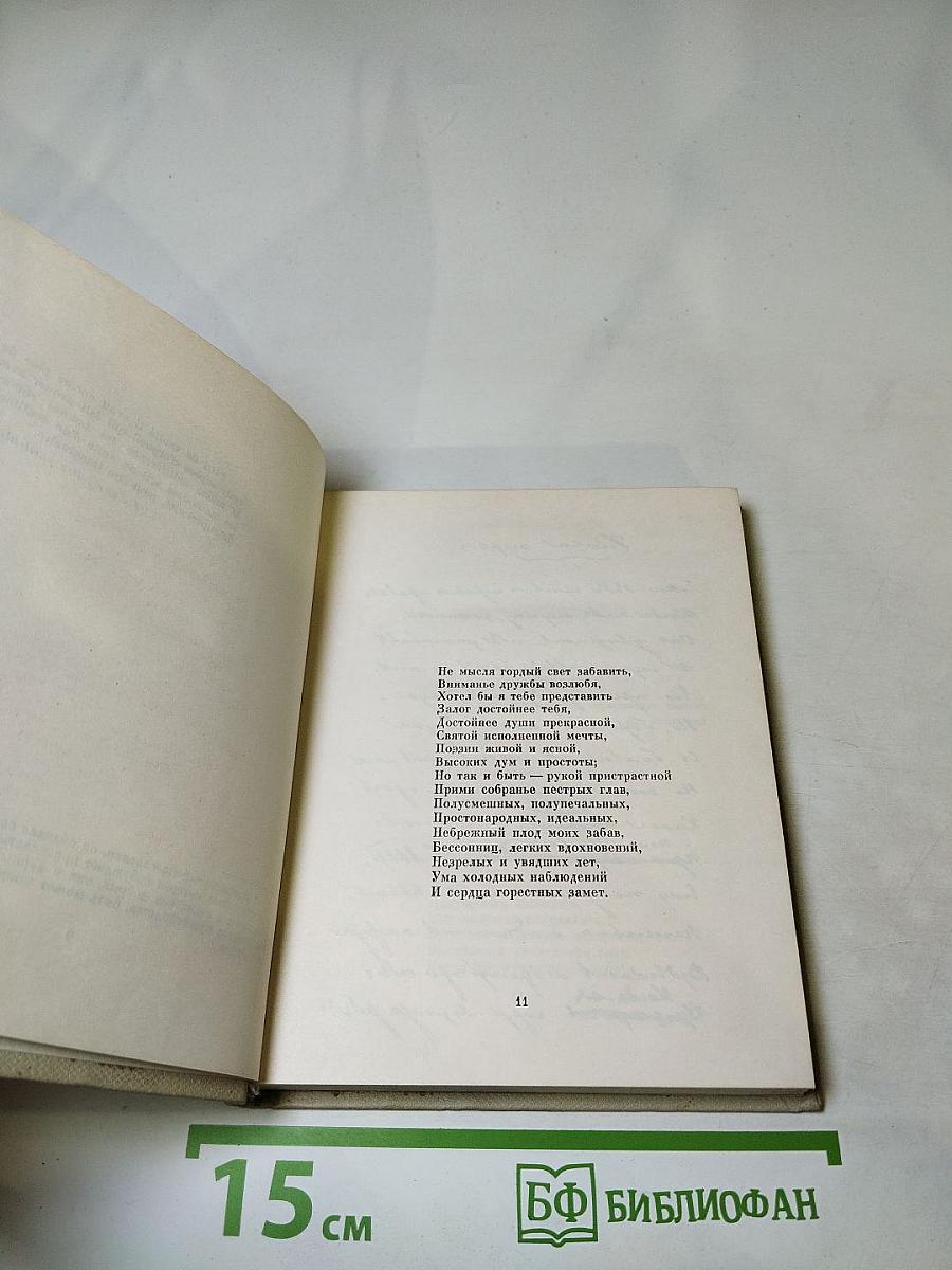 Евгений Онегин. Том пятый