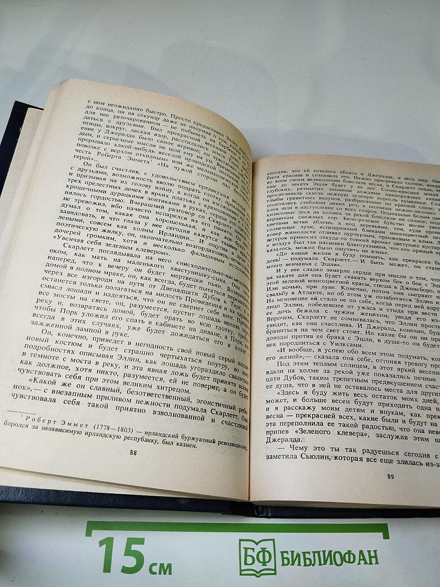 Унесенные ветром. Том I