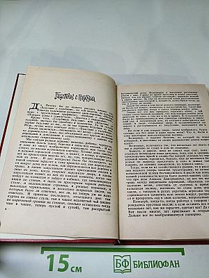 Бегство с голубями. Рассказы и очерки