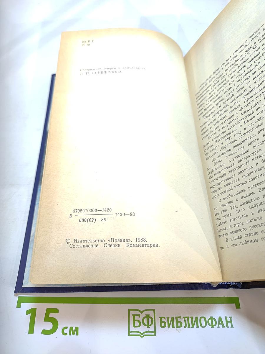 Я лучшей доли не искал... Судьба Александра Блока в письмах, дневниках, воспоминаниях