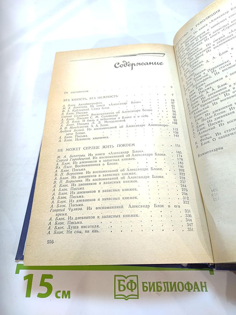 Я лучшей доли не искал... Судьба Александра Блока в письмах, дневниках, воспоминаниях