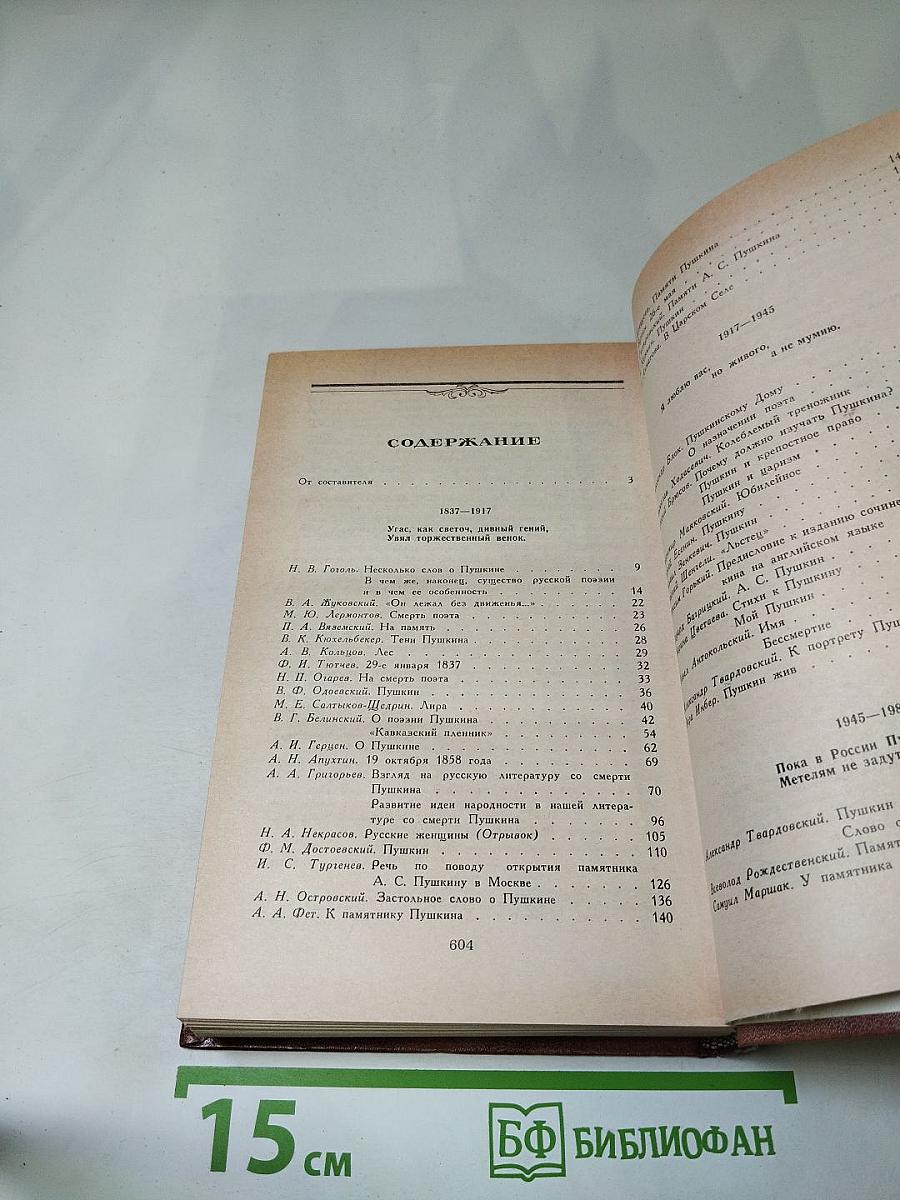 Светлое имя Пушкин