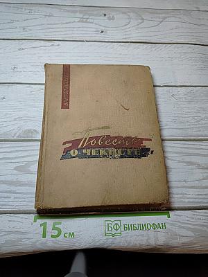 Повесть о чекисте