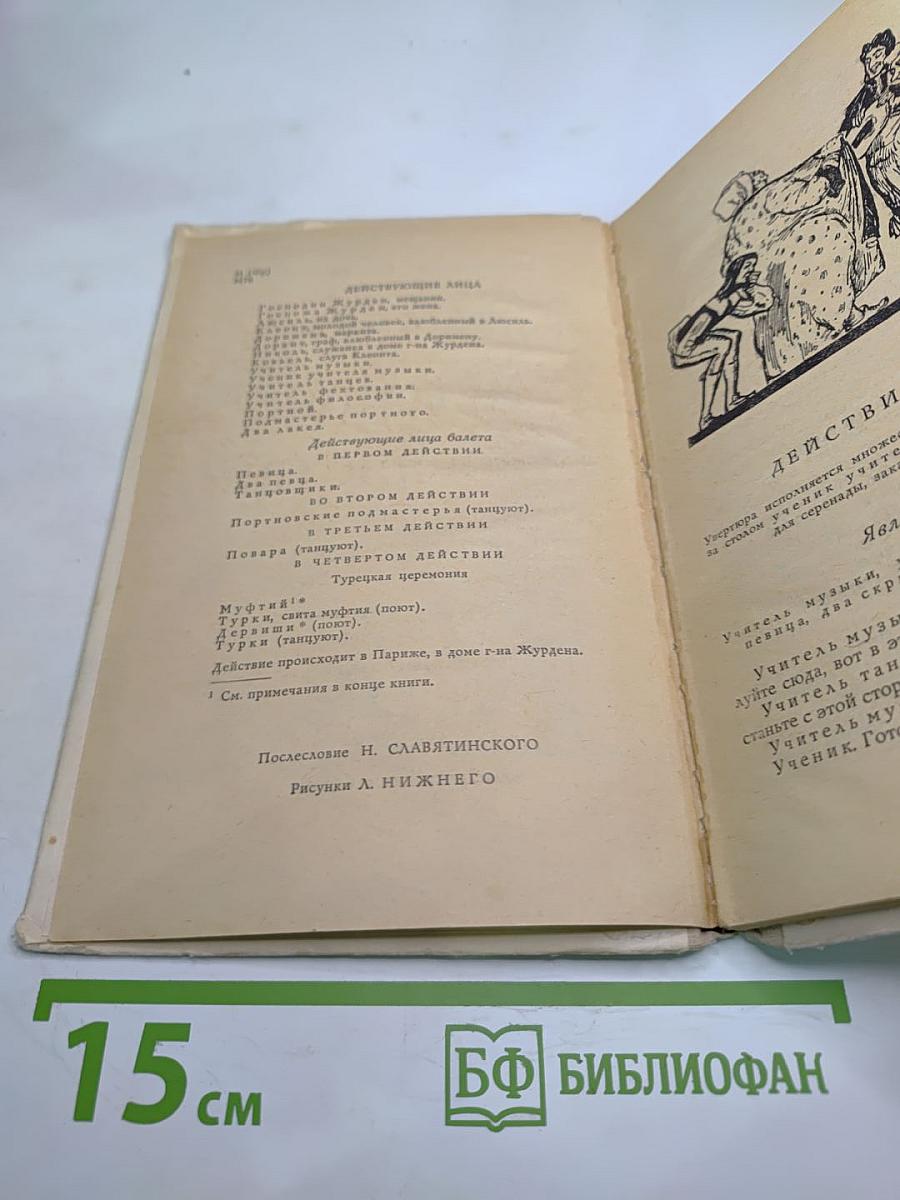 Мещанин во дворянстве