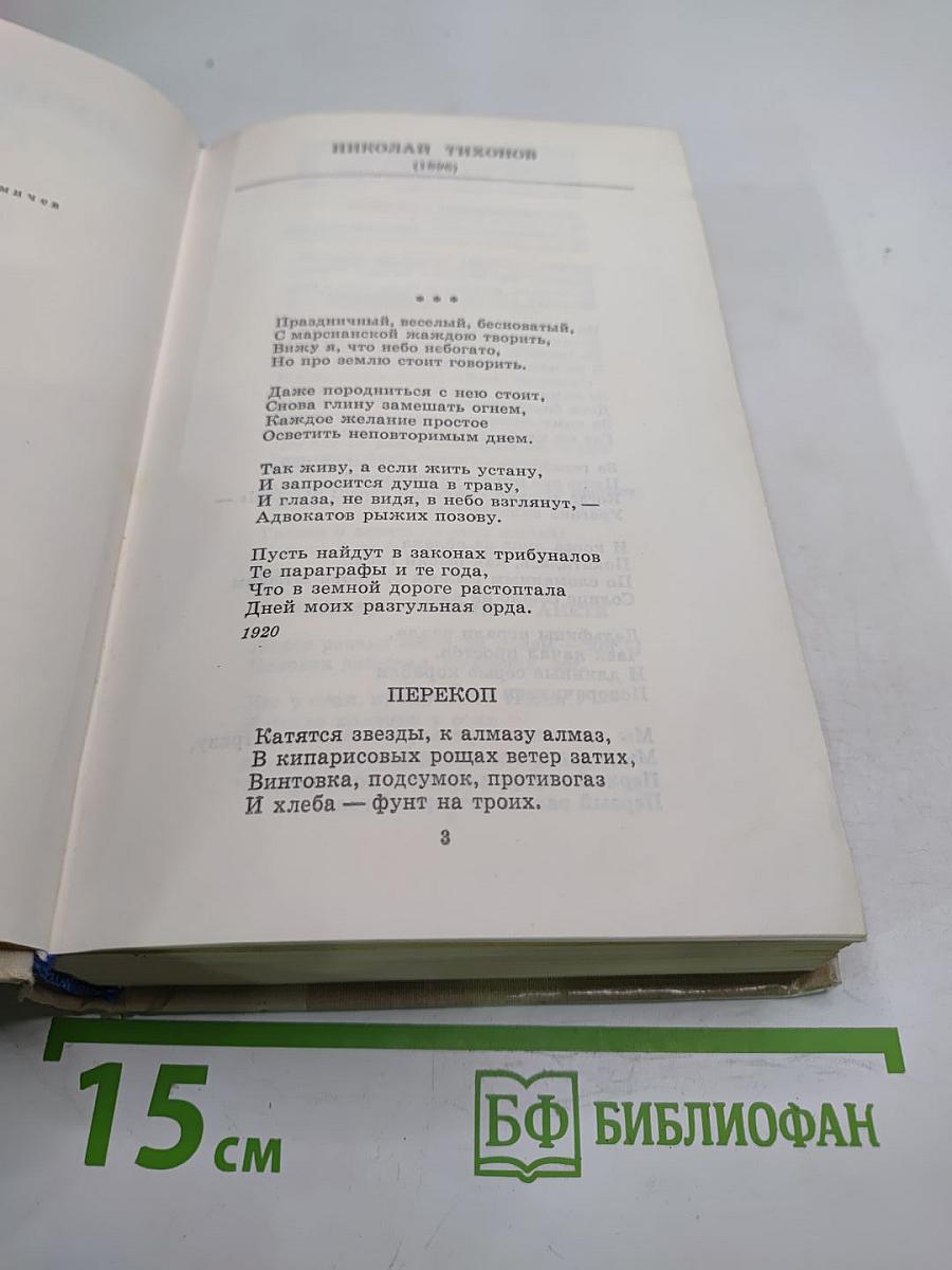Путешествие в страну поэзия. Поэзия - школе. Книга 2